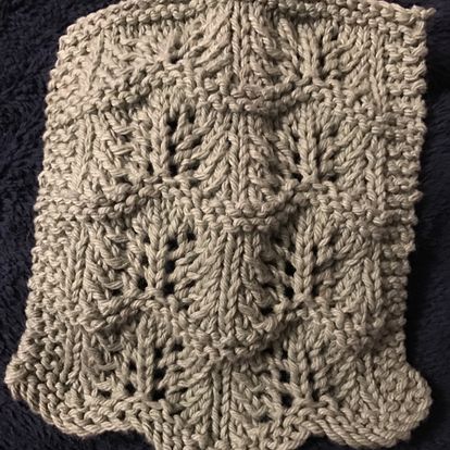 picture of dishcloth